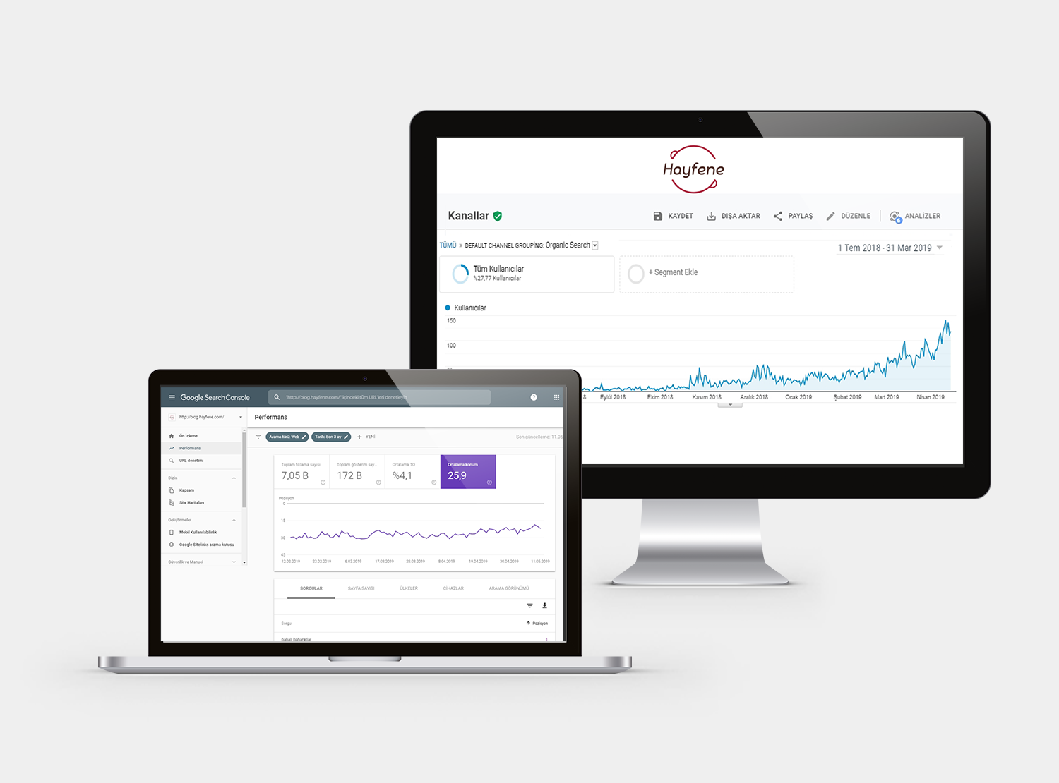 Hayfene - SEO Hizmeti